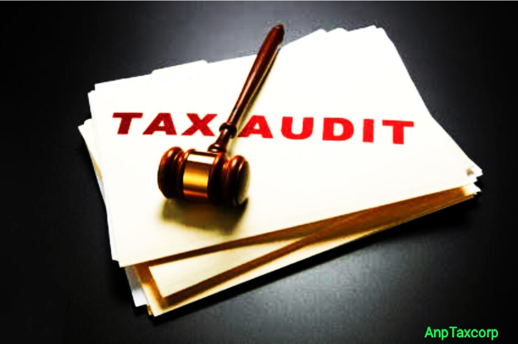 tax audit