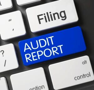 audit report