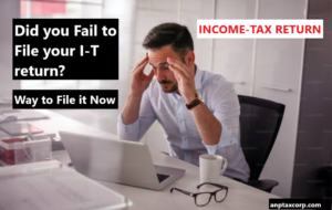 income tax return