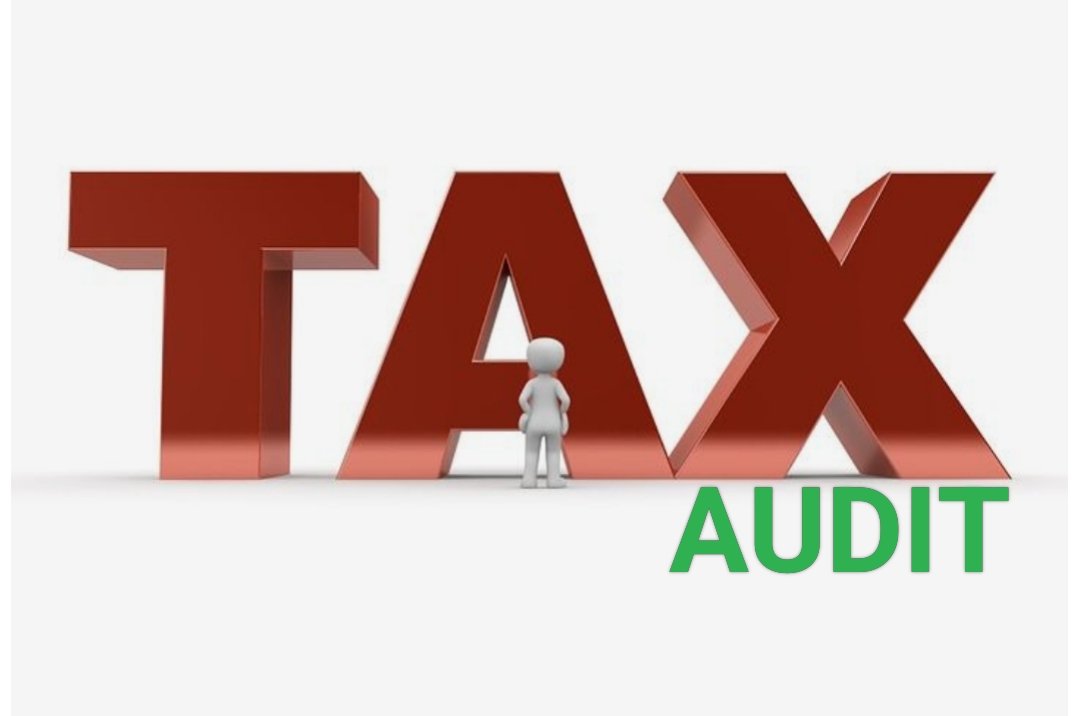 Picture of Tax Audit Tips & Checklist for Small Businesses - AnpTaxCorp